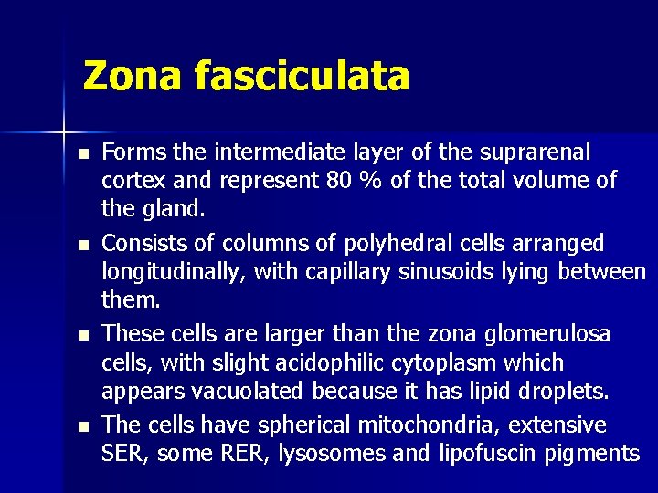 Zona fasciculata n n Forms the intermediate layer of the suprarenal cortex and represent