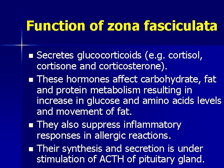 Function of zona fasciculata Secretes glucocorticoids (e. g. cortisol, cortisone and corticosterone). n These