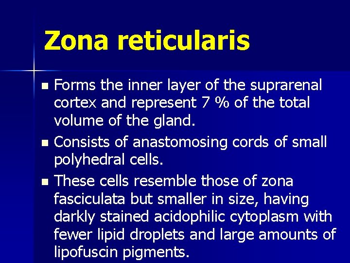 Zona reticularis Forms the inner layer of the suprarenal cortex and represent 7 %