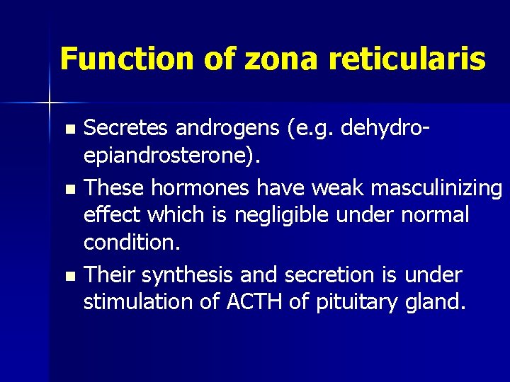 Function of zona reticularis Secretes androgens (e. g. dehydroepiandrosterone). n These hormones have weak