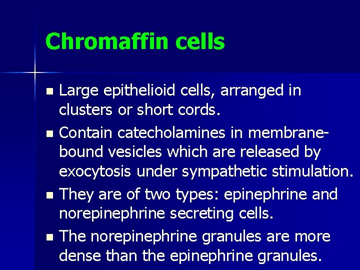 Chromaffin cells Large epithelioid cells, arranged in clusters or short cords. n Contain catecholamines