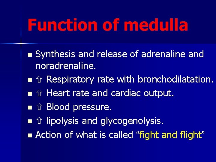 Function of medulla Synthesis and release of adrenaline and noradrenaline. n Respiratory rate with