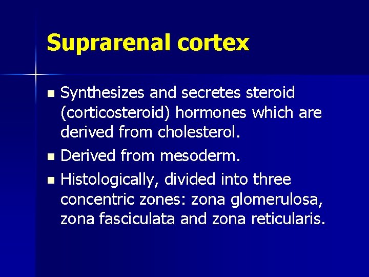 Suprarenal cortex Synthesizes and secretes steroid (corticosteroid) hormones which are derived from cholesterol. n