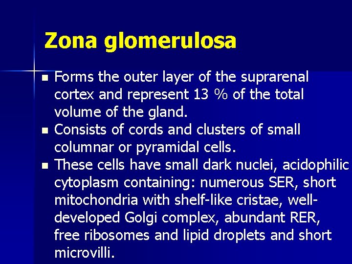 Zona glomerulosa n n n Forms the outer layer of the suprarenal cortex and