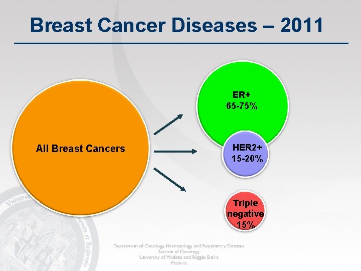 Breast Cancer Diseases – 2011 ER+ 65 -75% All Breast Cancers HER 2+ 15