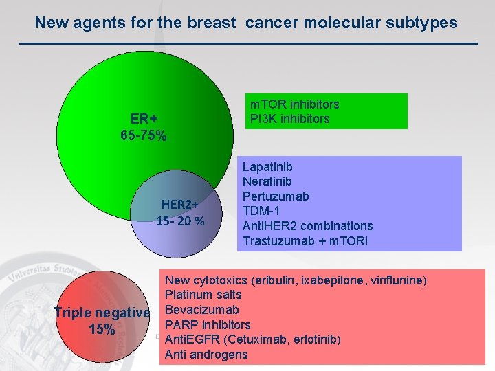 New agents for the breast cancer molecular subtypes ER+ 65 -75% HER 2+ 15