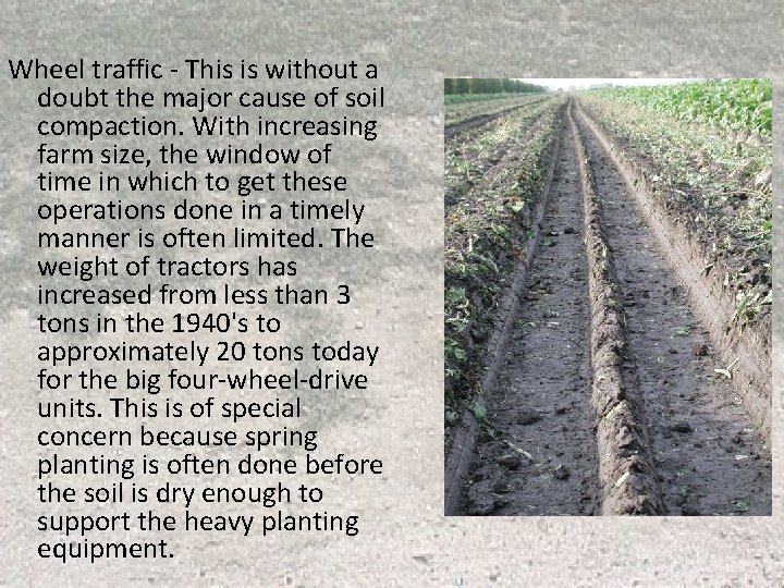 Wheel traffic - This is without a doubt the major cause of soil compaction. Wheel traffic - This is without a doubt the major cause of soil compaction.
