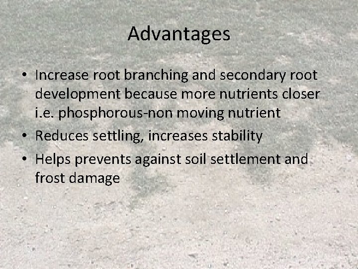Advantages • Increase root branching and secondary root development because more nutrients closer i. Advantages • Increase root branching and secondary root development because more nutrients closer i.