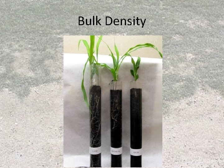 Bulk Density Bulk Density