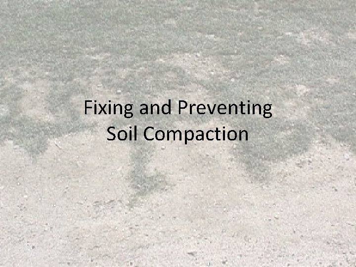 Fixing and Preventing Soil Compaction Fixing and Preventing Soil Compaction