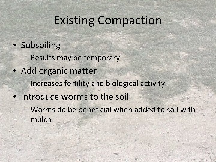 Existing Compaction • Subsoiling – Results may be temporary • Add organic matter – Existing Compaction • Subsoiling – Results may be temporary • Add organic matter –