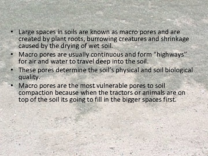 • Large spaces in soils are known as macro pores and are created • Large spaces in soils are known as macro pores and are created