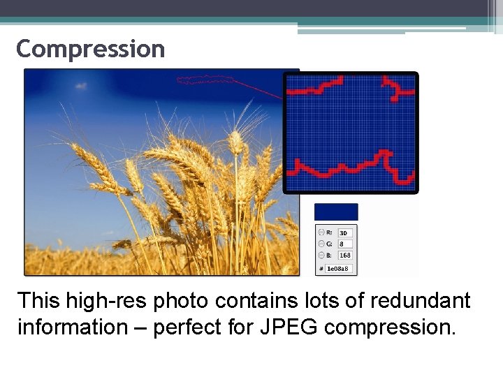 Compression This high-res photo contains lots of redundant information – perfect for JPEG compression.