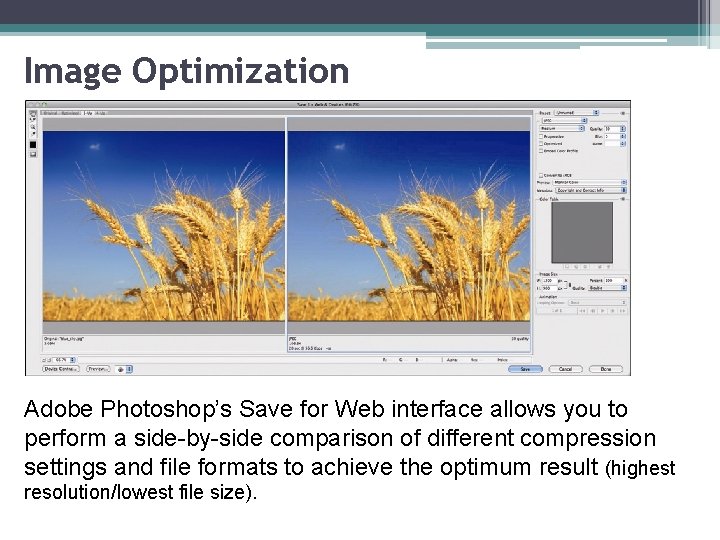 Image Optimization Adobe Photoshop’s Save for Web interface allows you to perform a side-by-side