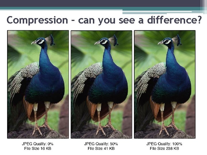 Compression – can you see a difference? 