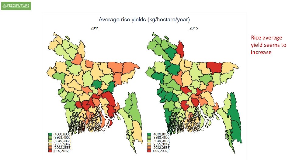 Rice average yield seems to increase Rice average yield seems to increase