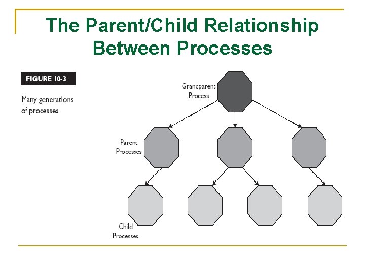 The Parent/Child Relationship Between Processes 