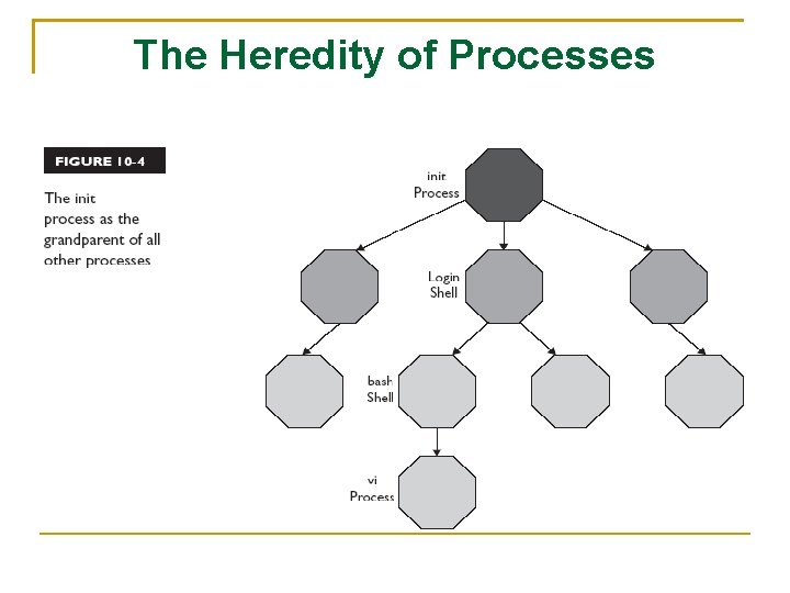 The Heredity of Processes 