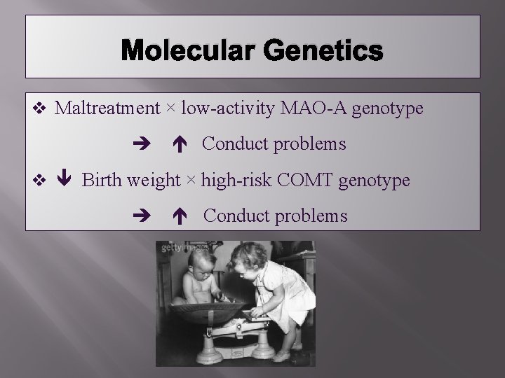Molecular Genetics v Maltreatment × low-activity MAO-A genotype Conduct problems v Birth weight ×