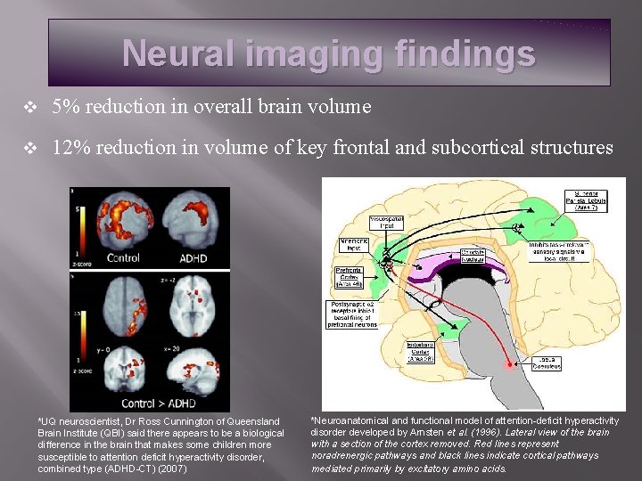 Neural imaging findings v 5% reduction in overall brain volume v 12% reduction in