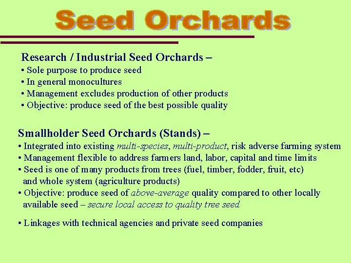 Research / Industrial Seed Orchards – • Sole purpose to produce seed • In