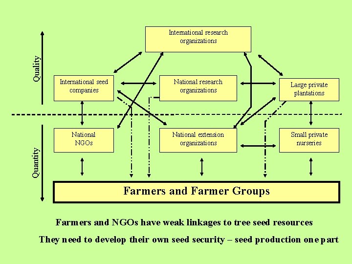 International seed companies National research organizations Large private plantations National NGOs National extension organizations