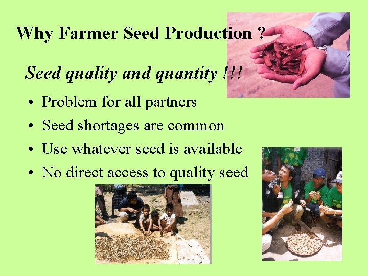 Why Farmer Seed Production ? Seed quality and quantity !!! • • Problem for