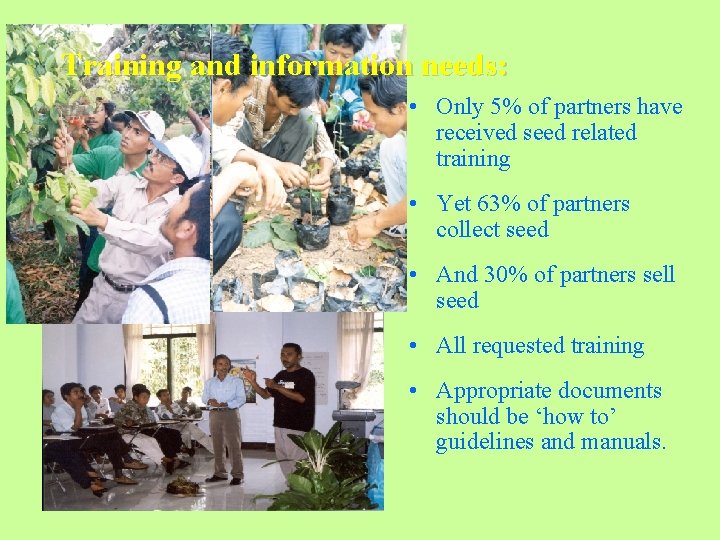 Training and information needs: • Only 5% of partners have received seed related training