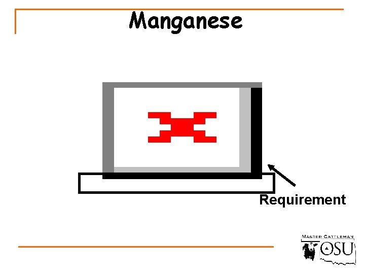 Manganese Requirement 