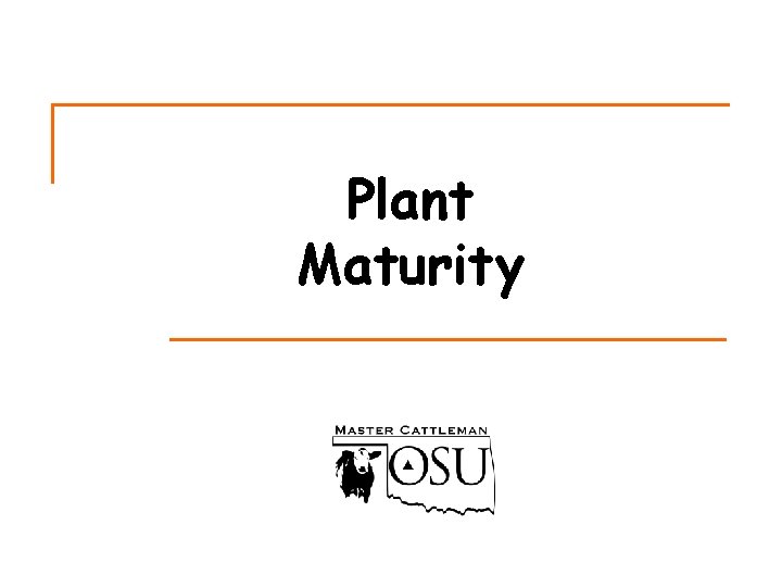 Plant Maturity 