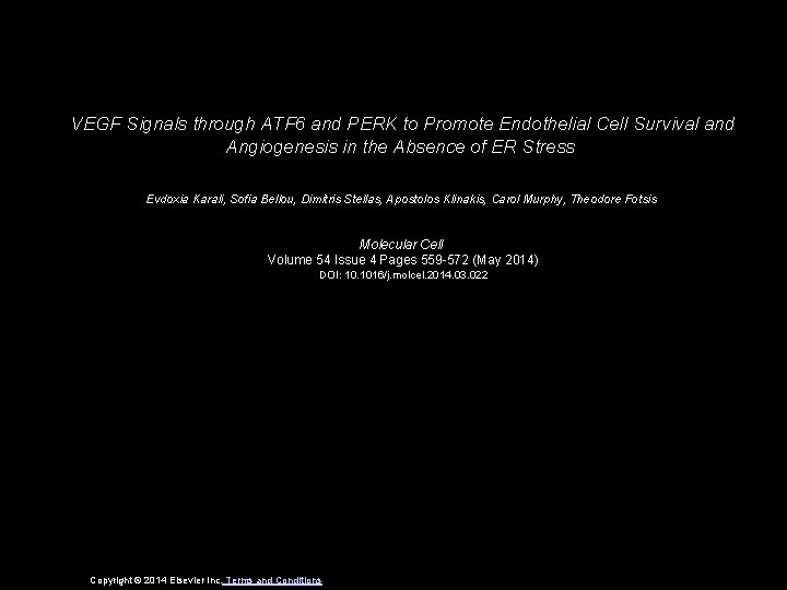 VEGF Signals through ATF 6 and PERK to Promote Endothelial Cell Survival and Angiogenesis