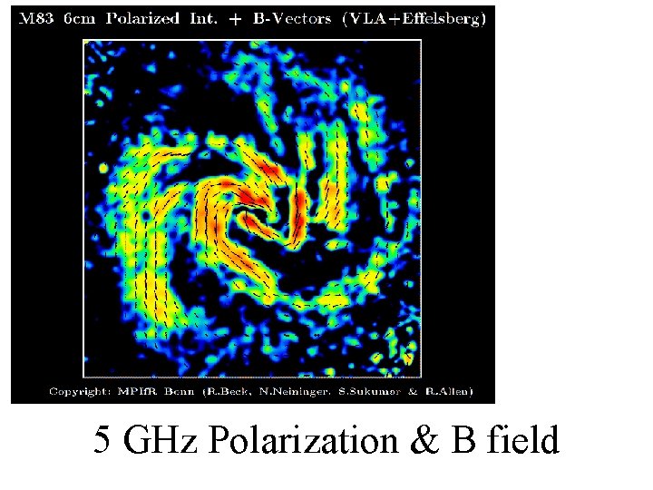 5 GHz Polarization & B field 5 GHz Polarization & B field
