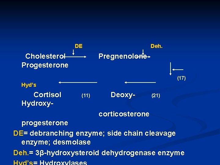 DE Cholesterol Progesterone Deh. Pregnenolone (17) Hyd’s Cortisol Hydroxy- (11) Deoxy- (21) corticosterone progesterone
