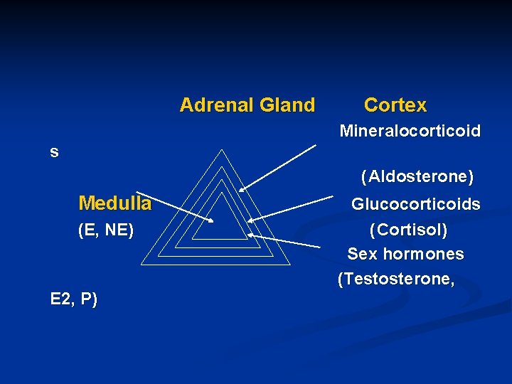Adrenal Gland Cortex Mineralocorticoid s ( Aldosterone) Medulla (E, NE) E 2, P) Glucocorticoids