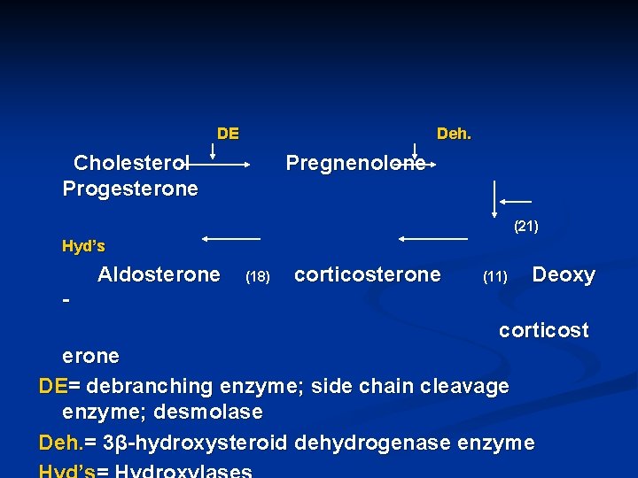 DE Deh. Cholesterol Progesterone Pregnenolone (21) Hyd’s Aldosterone (18) corticosterone (11) Deoxy corticost erone