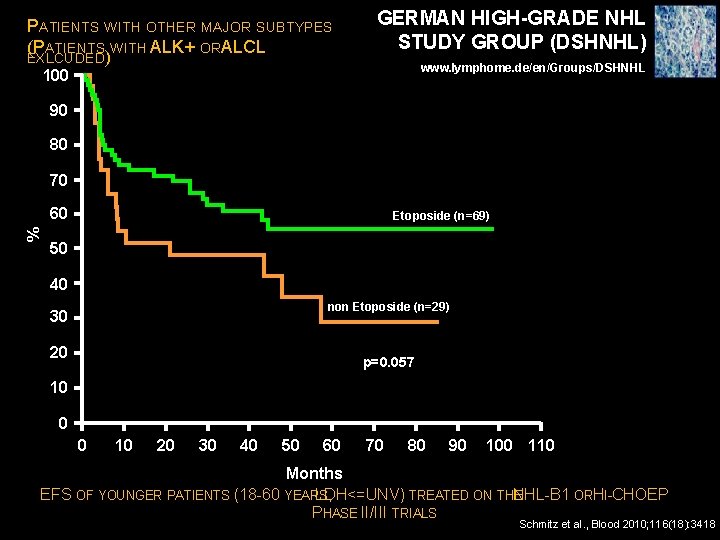 PATIENTS WITH OTHER MAJOR SUBTYPES (PATIENTS WITH ALK+ ORA LCL EXLCUDED) GERMAN HIGH-GRADE NHL