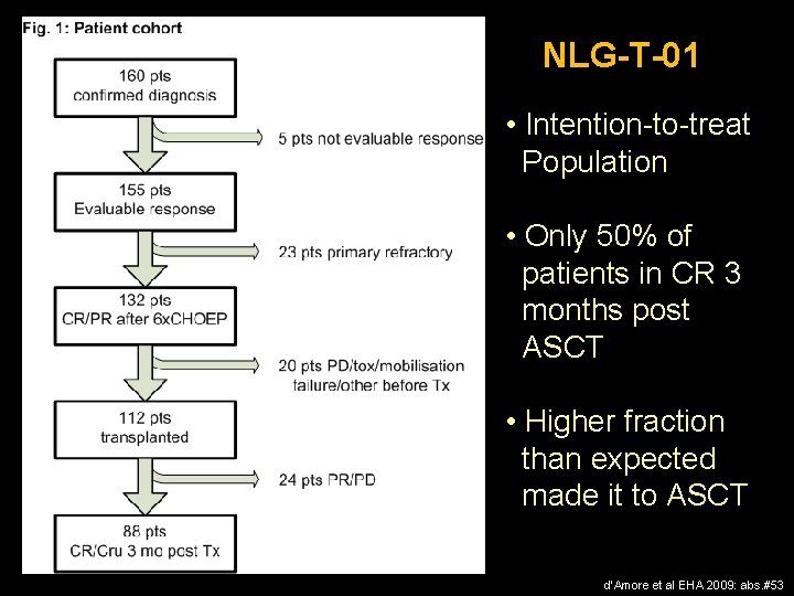 NLG-T-01 • Intention-to-treat Population • Only 50% of patients in CR 3 months post