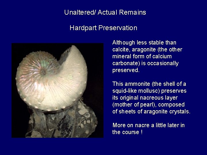 Unaltered/ Actual Remains Hardpart Preservation Although less stable than calcite, aragonite (the other mineral