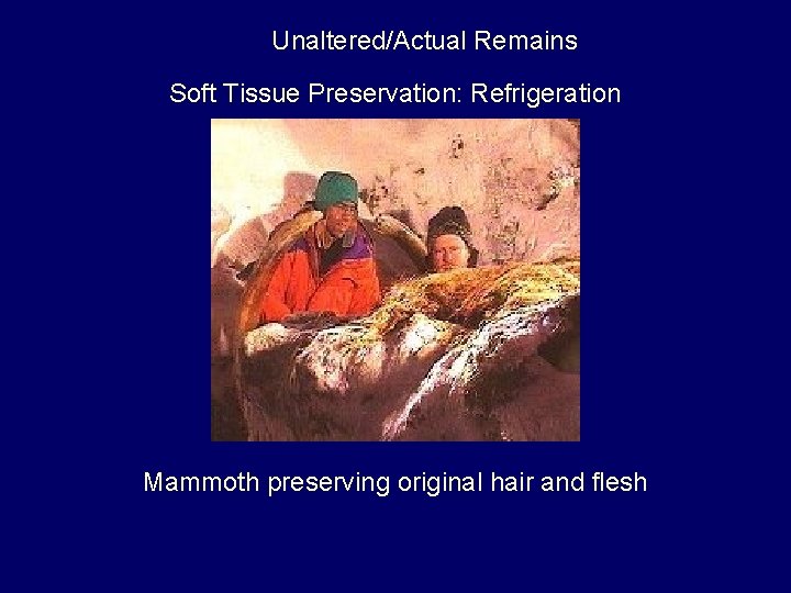 Unaltered/Actual Remains Soft Tissue Preservation: Refrigeration Mammoth preserving original hair and flesh 