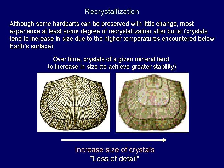 Recrystallization Although some hardparts can be preserved with little change, most experience at least