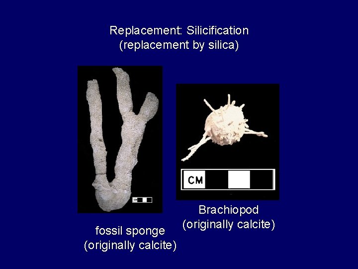 Replacement: Silicification (replacement by silica) fossil sponge (originally calcite) Brachiopod (originally calcite) 