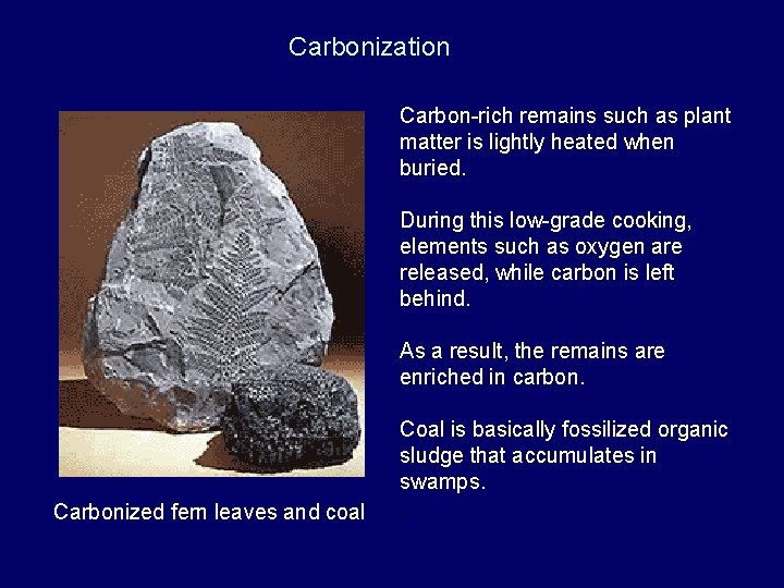 Carbonization Carbon-rich remains such as plant matter is lightly heated when buried. During this