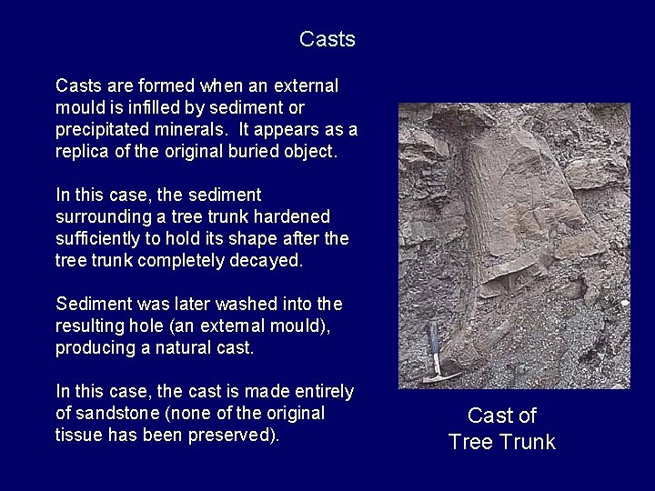 Casts are formed when an external mould is infilled by sediment or precipitated minerals.