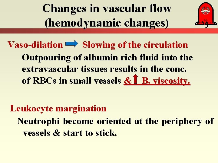 Changes in vascular flow (hemodynamic changes) Vaso-dilation Slowing of the circulation Outpouring of albumin Changes in vascular flow (hemodynamic changes) Vaso-dilation Slowing of the circulation Outpouring of albumin