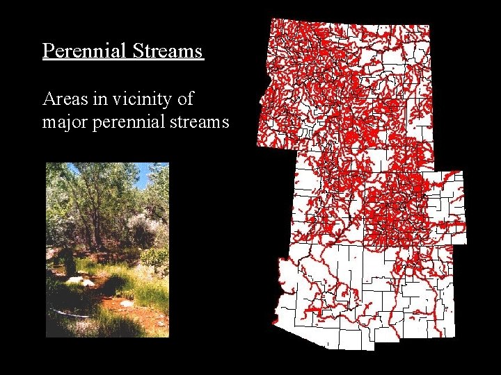 Perennial Streams Areas in vicinity of major perennial streams 