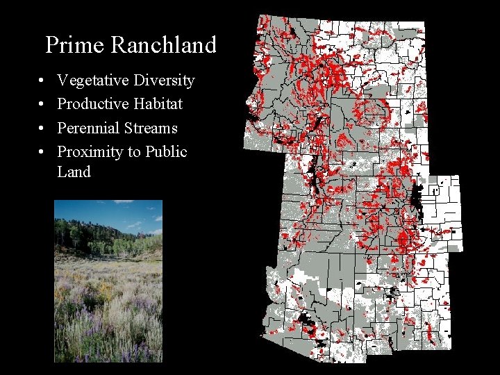 Prime Ranchland • • Vegetative Diversity Productive Habitat Perennial Streams Proximity to Public Land