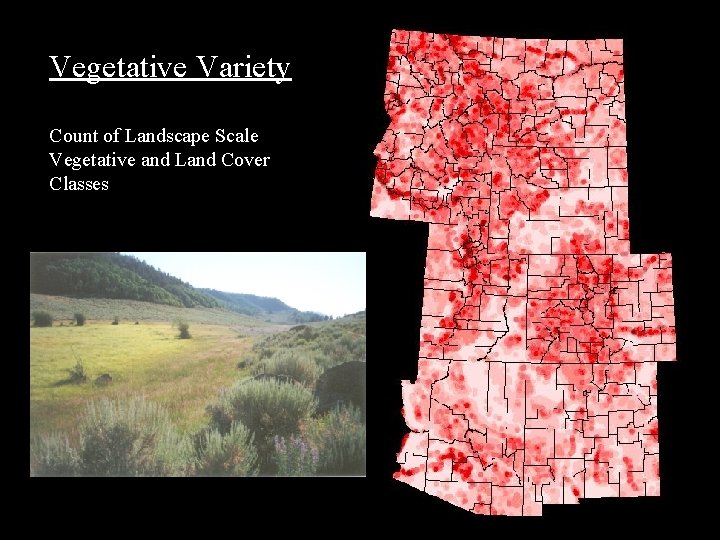 Vegetative Variety Count of Landscape Scale Vegetative and Land Cover Classes 