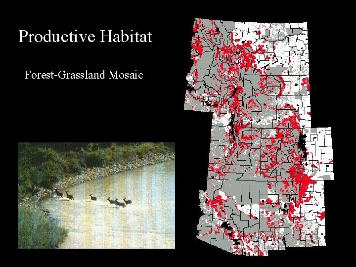 Productive Habitat Forest-Grassland Mosaic 