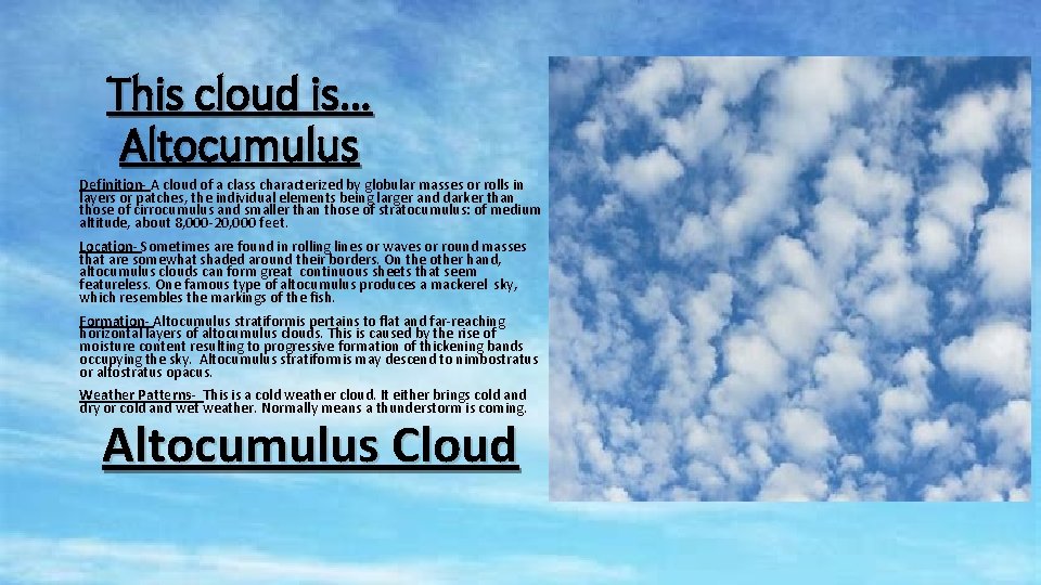 This cloud is… Altocumulus Definition- A cloud of a class characterized by globular masses