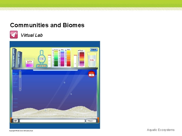 Communities and Biomes Virtual Lab Copyright © Mc. Graw-Hill Education Aquatic Ecosystems 